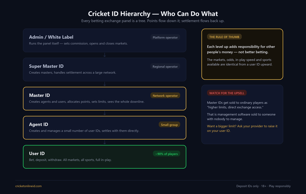 Diagram of all cricket ID types in the betting exchange hierarchy used in India — admin, super master, master, agent and user ID — and what each account can do