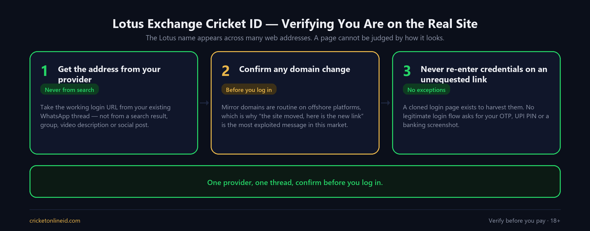 Three-step process for verifying a Lotus Exchange cricket ID login site: take the address from your provider thread, confirm any domain change before logging in, and never re-enter credentials on an unrequested link